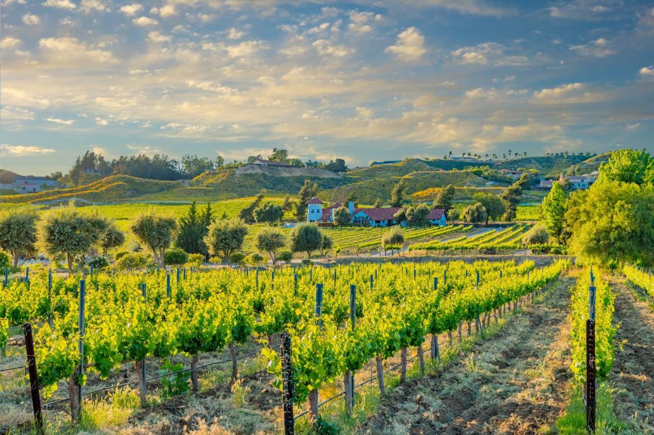 Calle Cancion Charms Temecula Zewnętrze zdjęcie